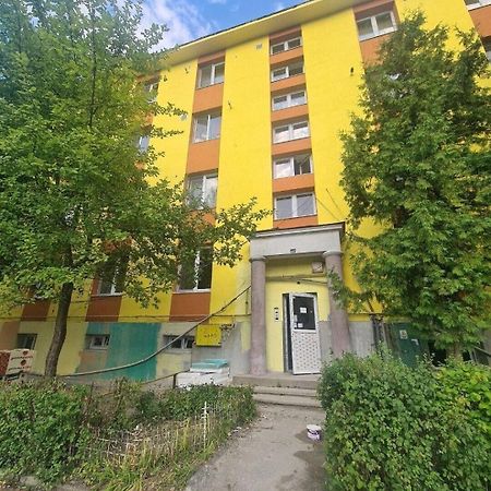 Mural Art Apartament Petroszany Zewnętrze zdjęcie