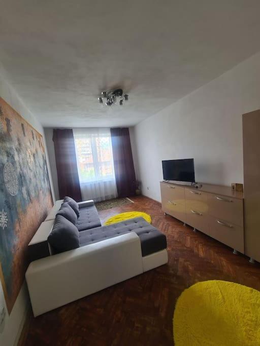 Mural Art Apartament Petroszany Zewnętrze zdjęcie