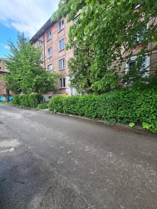 Mural Art Apartament Petroszany Zewnętrze zdjęcie